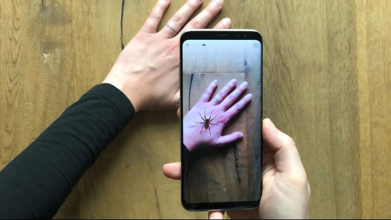 Afraid of Spiders? This Augmented Reality App May Help