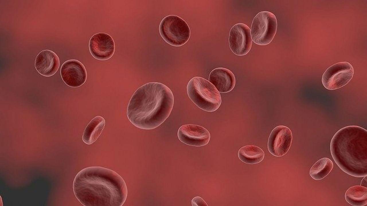 New Mechanism Underlying Red Blood Cell Aging Revealed