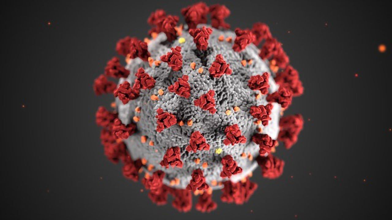 Targeting SARS-CoV-2 Viral Proteases To Prevent Infection