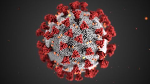 Targeting SARS-CoV-2 Viral Proteases To Prevent Infection