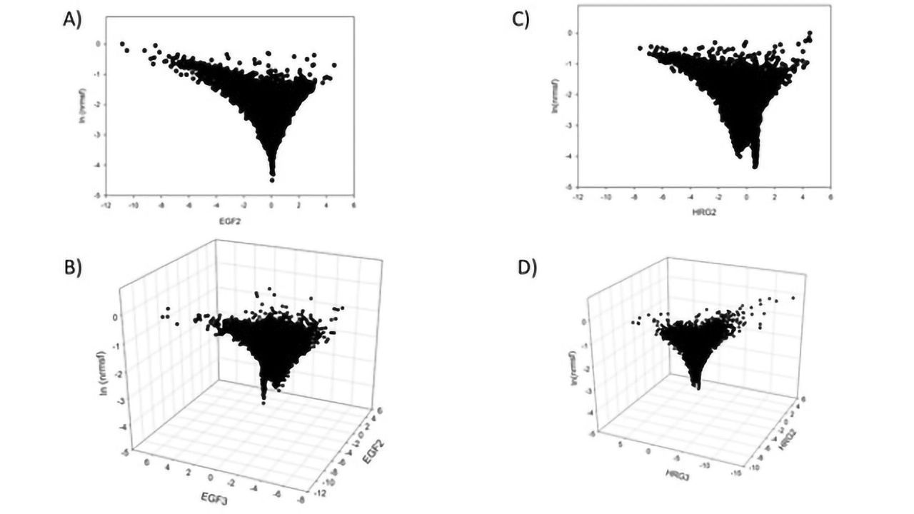 Towards a Unified Theory for DNA Folding