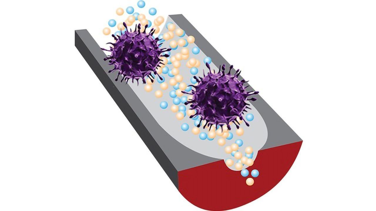 Sensor Can Differentiate Which Viruses Are Infectious