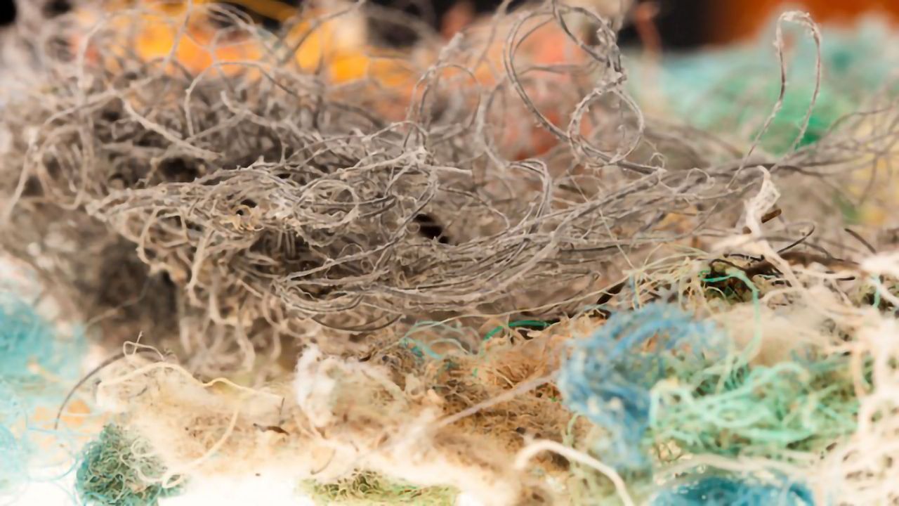 Marine Rope Could Contribute Billions of Microplastics to the Oceans