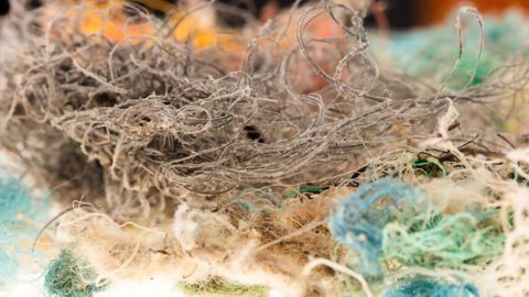 Marine Rope Could Contribute Billions of Microplastics to the Oceans