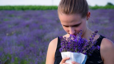 Unexpected Dopamine Function Discovered in Memory Study