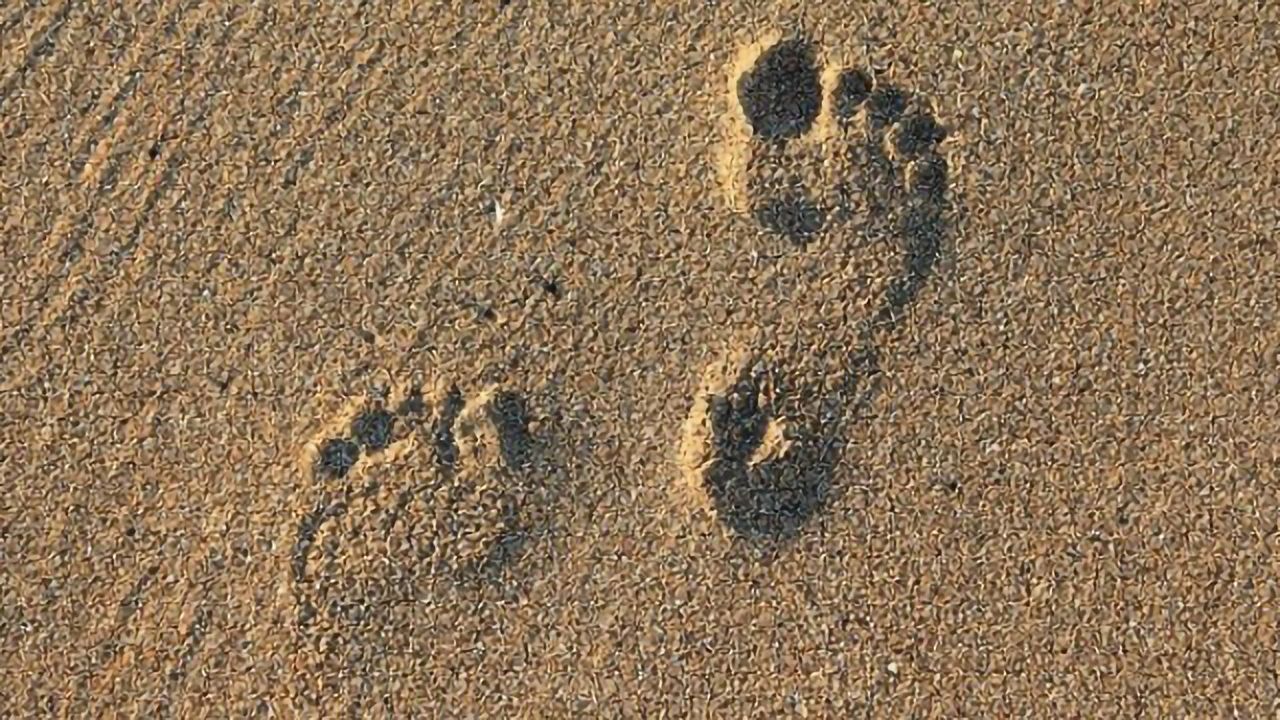 Fossilized Footprints Provide Earliest Evidence of Humans in the Americas