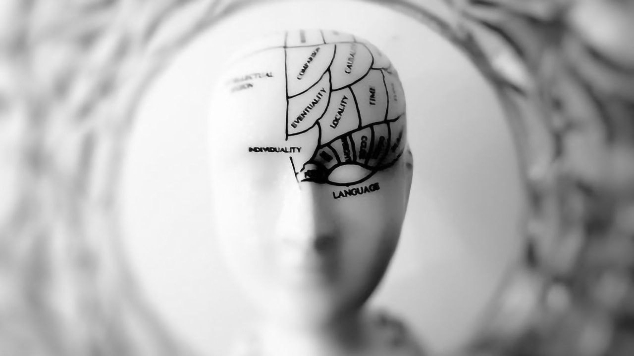 Recurrent Neural Network Explains the Power of the Frontal Cortex