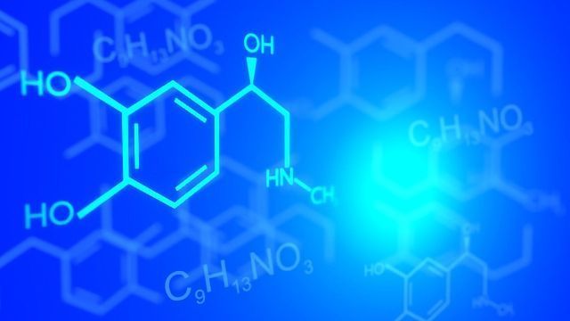 The Golden Age of Computer-Assisted Structure Elucidation (CASE ...