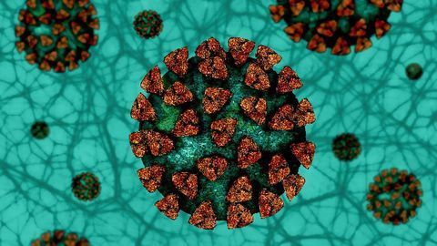 Promising Low-Cost Method for Rapid COVID-19 Detection Developed