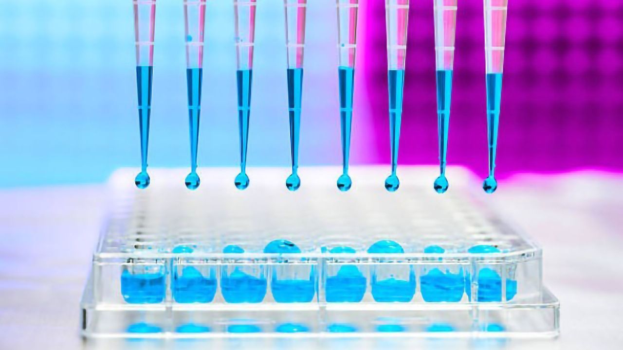 Using siRNA Reagents that Achieve Long-Term Gene Silencing