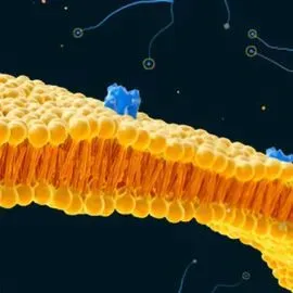 Spatial Biology content piece image
