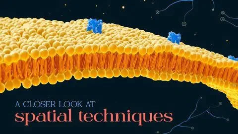 Spatial Biology content piece image