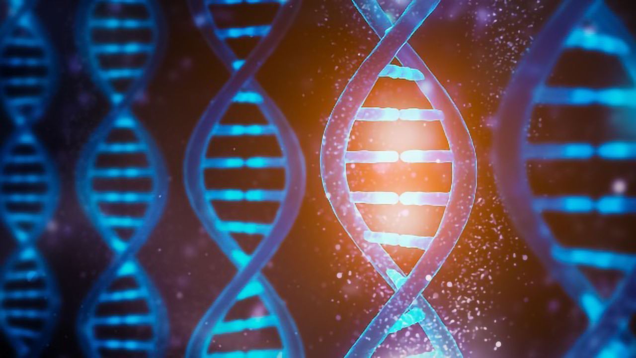 CRISPR Gene Therapies: Assessing the Success of Gene Edits Using ddPCR