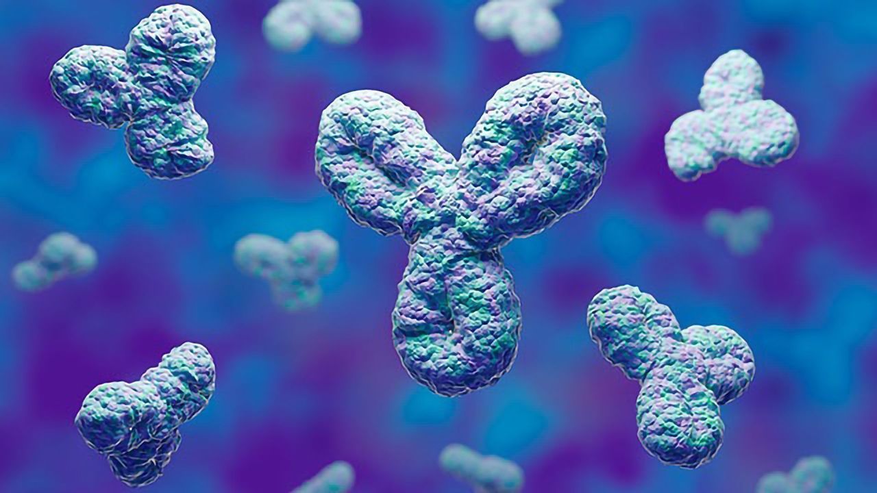 Therapeutic Antibody Engineering: Past, Present and Future