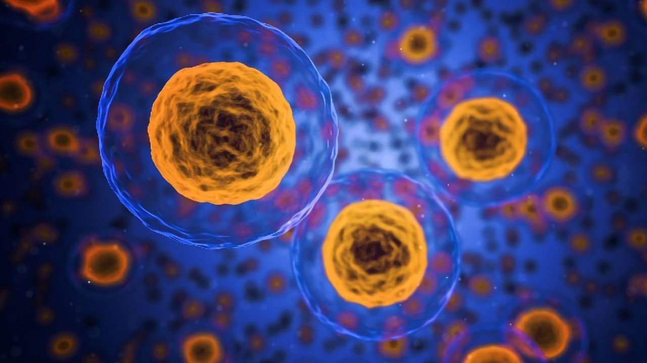 Distinct Differences Revealed Between Molecular Profiles of 2D and 3D Cultured NSCLC Cells