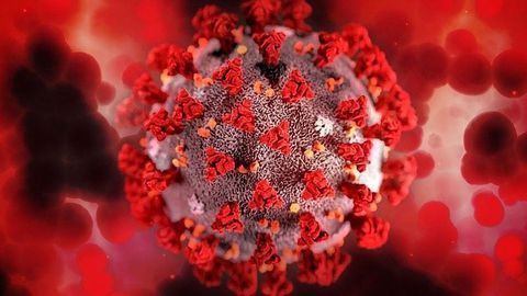 Mutations of Delta and Delta Plus Variants Identified