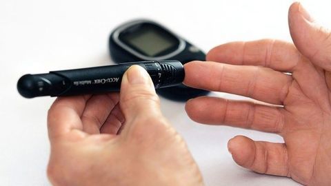 Link Between Diabetes and Alzheimer's Strengthened by Hyperglycemic Mice