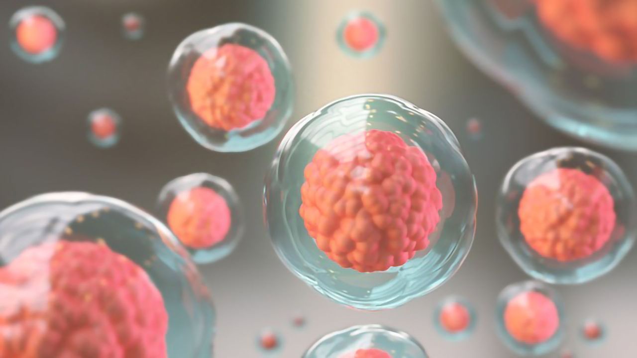 Large-Scale Bioproduction of Adherent Cells To Support Advanced Therapy Workflows