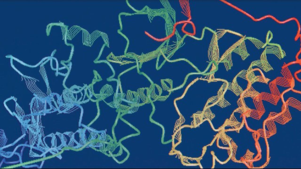 Characterization of Cysteine Dioxygenase Variants by Trapped Ion Mobility