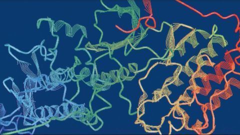Characterization of Cysteine Dioxygenase Variants by Trapped Ion Mobility