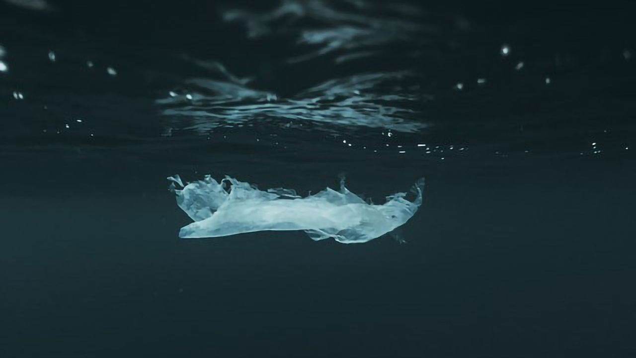 Plastic Bags Can Release Thousands of Dissolved Compounds in Sunlight