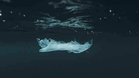 Plastic Bags Can Release Thousands of Dissolved Compounds in Sunlight
