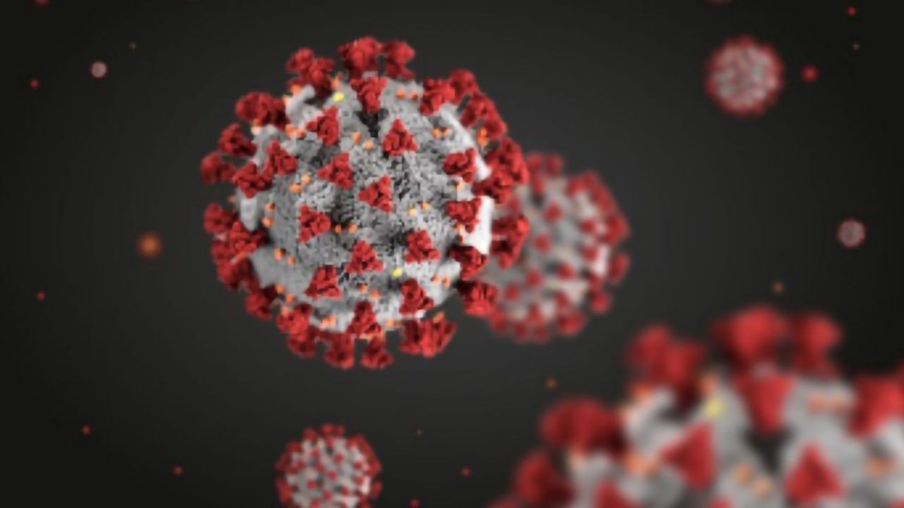 LC-MS for Detection of SARS-CoV-2 Viral and Host Proteins