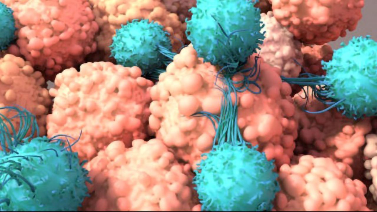 Autologous CAR T-Cell Manufacturing