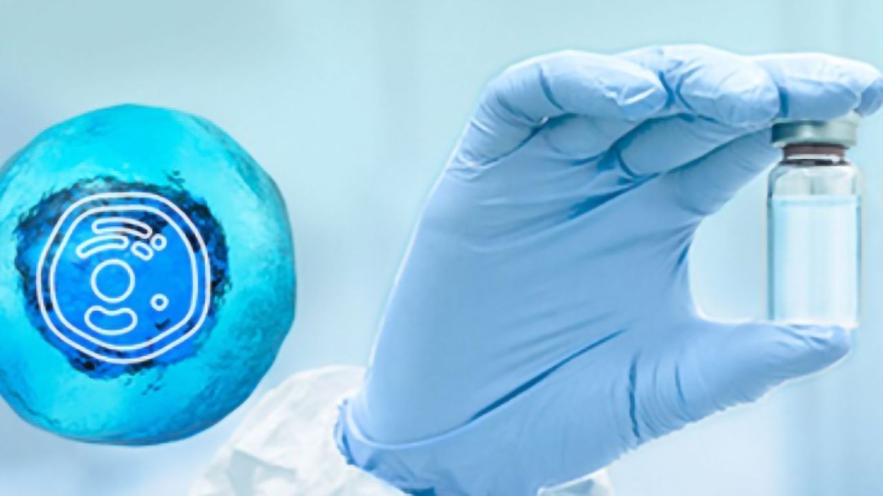 Utilizing the Gibco™ CTS™ Rotea™ System, a Versatile Closed Manufacturing System, for Cell and Gene Therapy Development