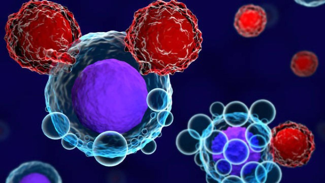 Applying a Closed, Modular, Semi-Automated System to CAR T Cell Therapy Manufacturing