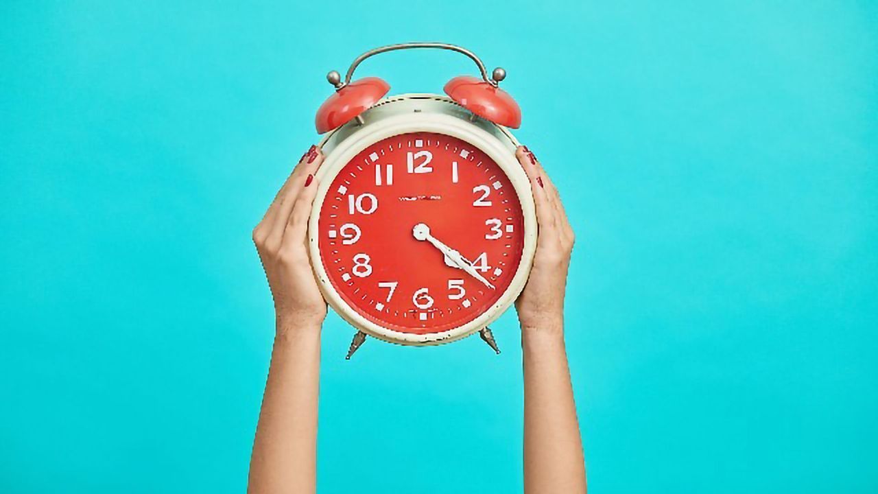 Exploring the Dance of Key Proteins Behind Circadian Rhythms