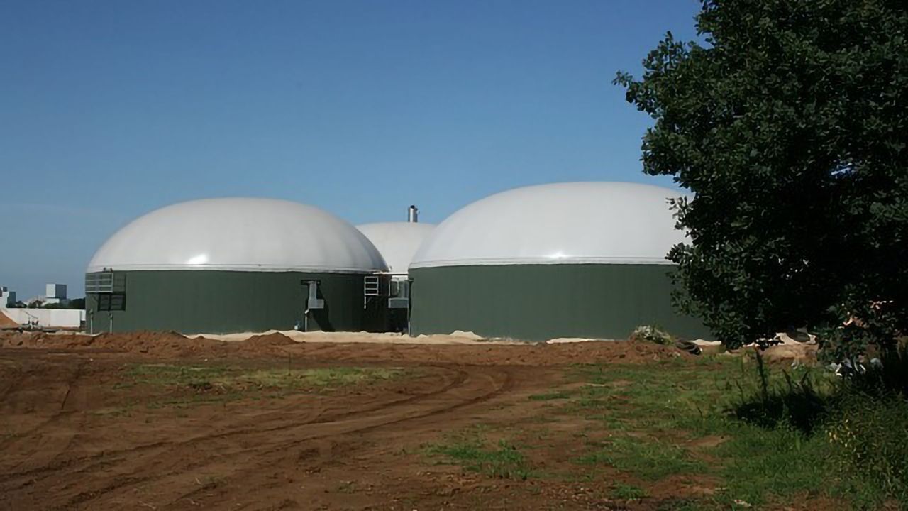Missing Link Identified in the Conversion of Biomass to Methane