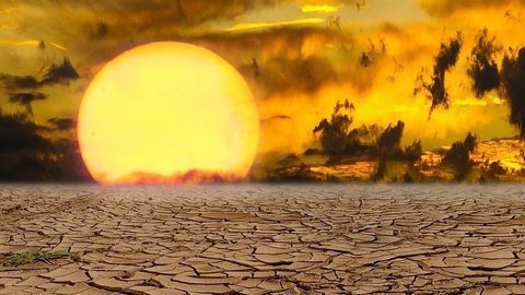 Biodiversity Conservation Goals Could Be Undermined by Climate Change