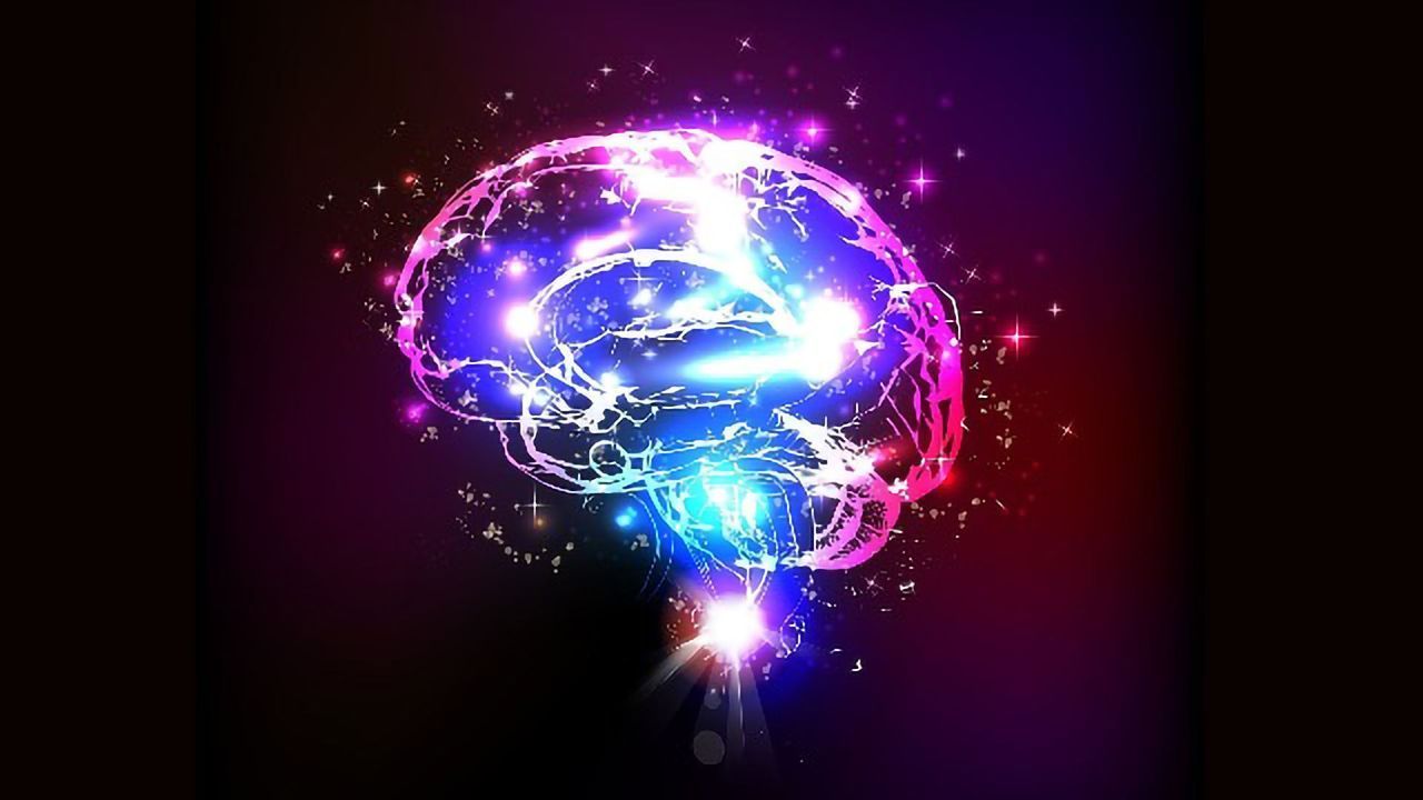 How Brain Cells Hit the Brakes