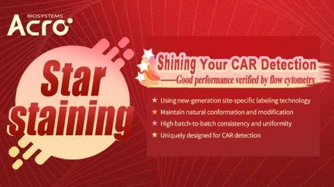 Star Staining for CAR-T research