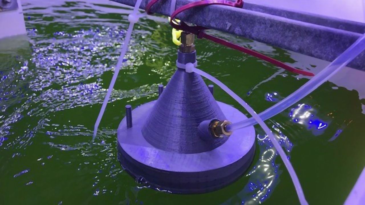 New Technology Developed That Detects Algae Crop Health