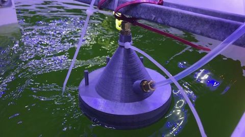 New Technology Developed That Detects Algae Crop Health