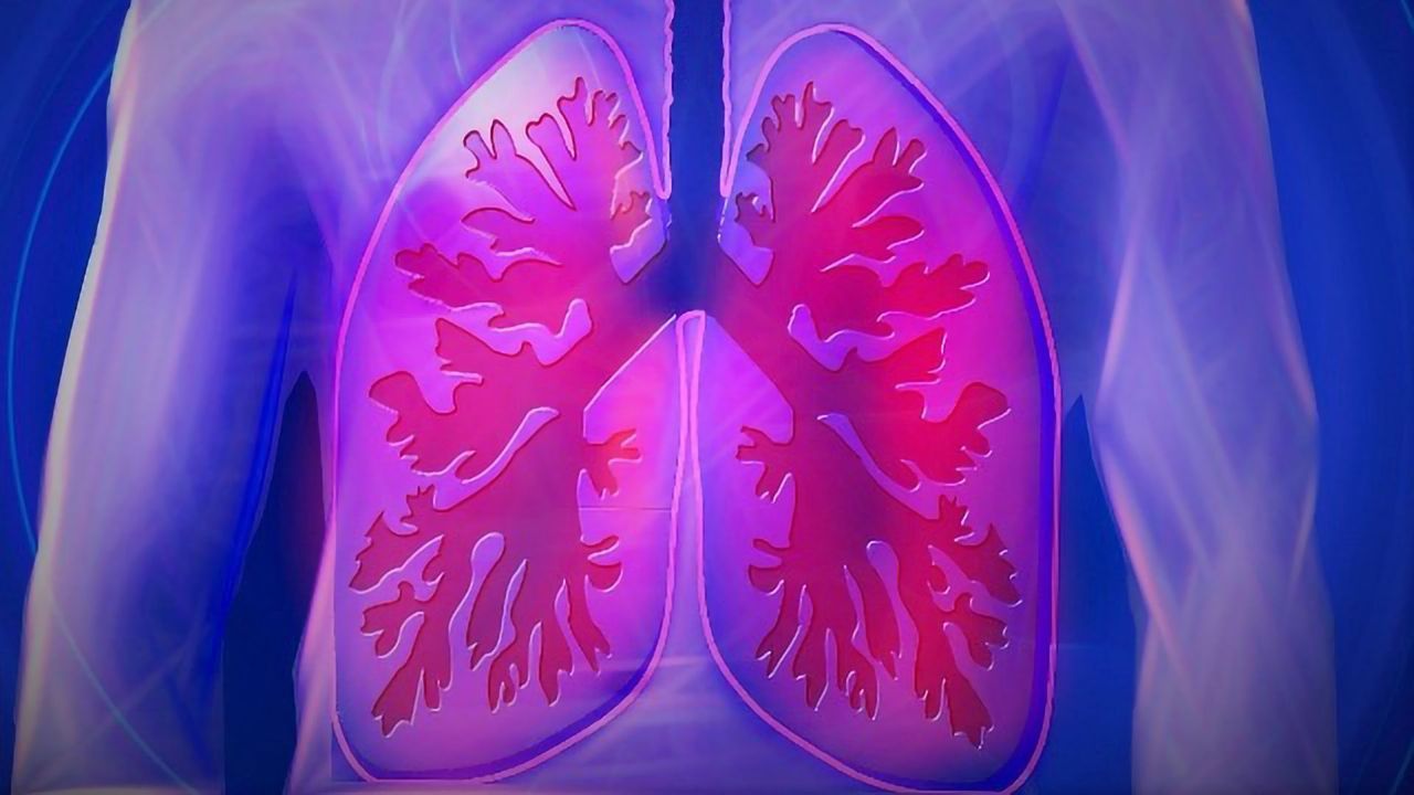 Mechanism Driving Alveoli Formation Revealed
