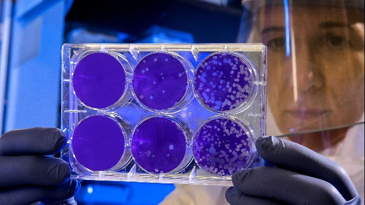 “Living Medicine” To Treat Drug-Resistant Infections