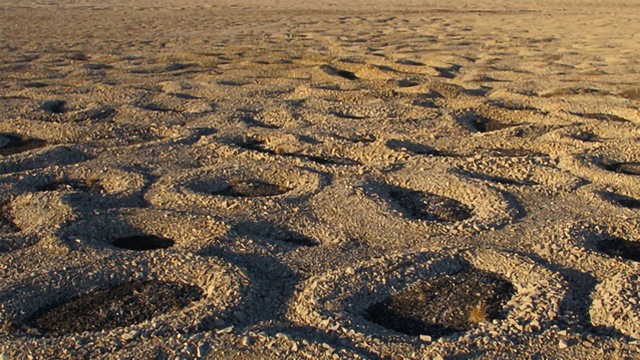 Exploring How Rocks Form Weaving Patterns in Frozen Landscapes