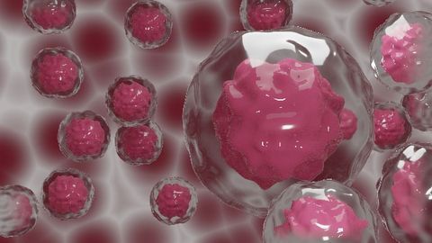 Molecular Mechanisms of Stem Cell Rolling Revealed