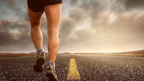 Mechanotherapy Helps Muscles Heal Faster and Stronger