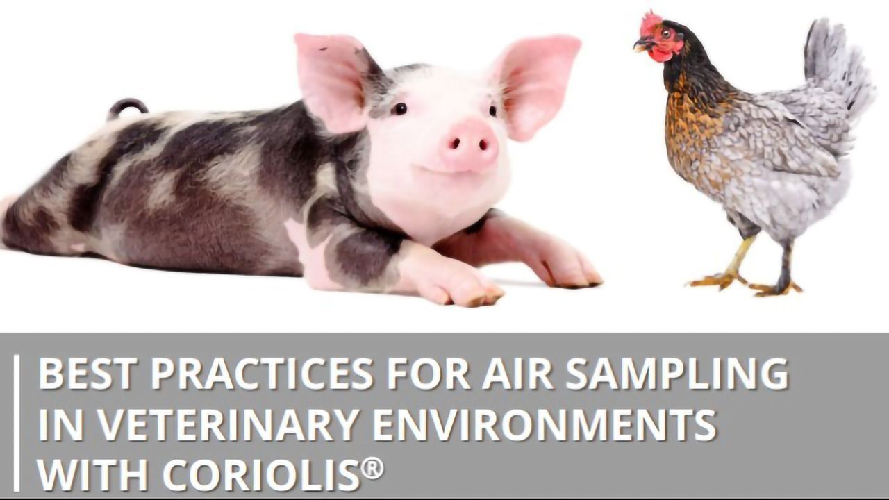 Best Practices for Air Sampling in Veterinary Environments