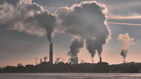 Clean Air Can Make All the Difference for Brain Health