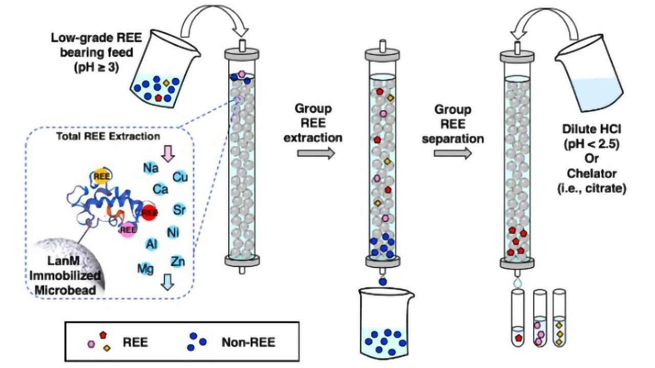 An Environmentally Friendly Way To Extract Rare Earth Elements