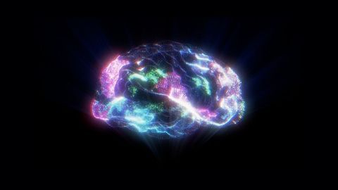 Building a "Parts List" for the Brain