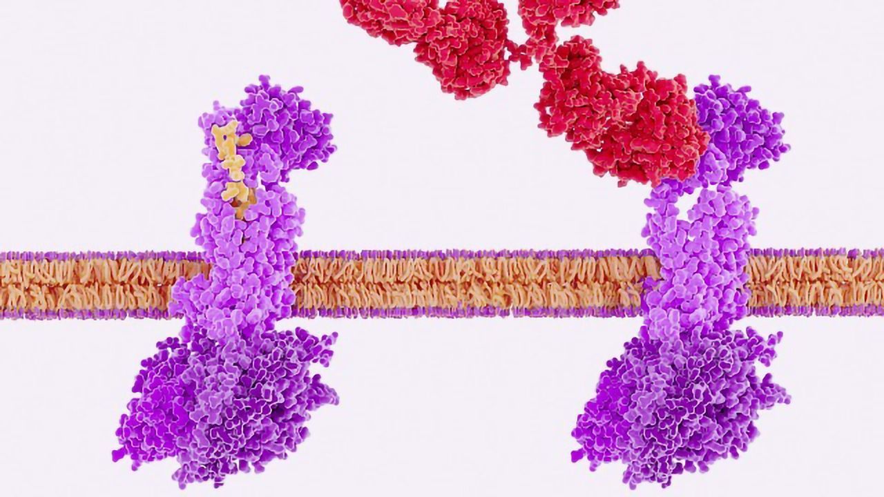 Binding Kinetics in Drug Discovery