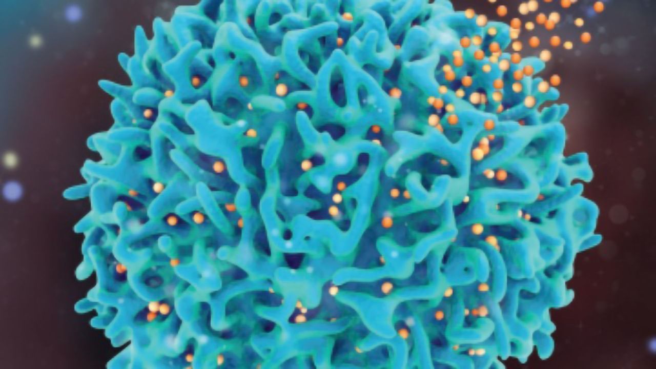 Accurate Quantification of Interferon Gamma Across Immunoassay Platforms