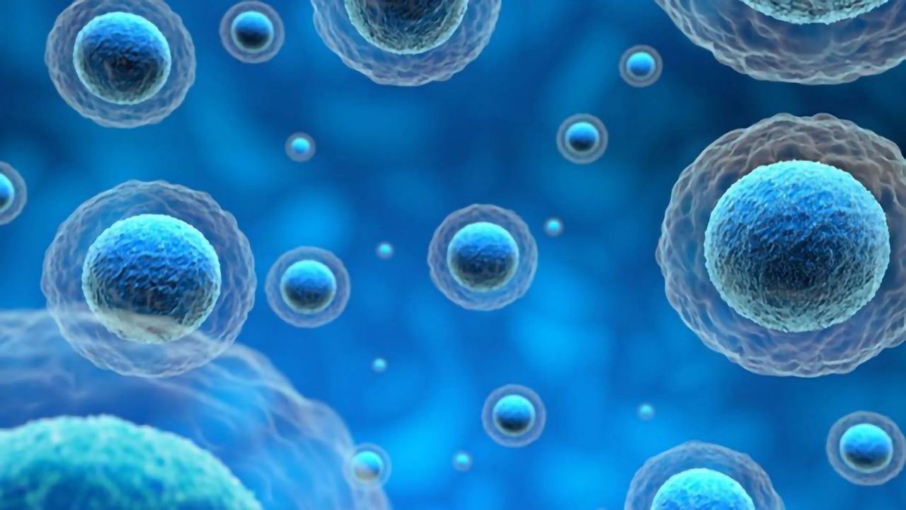 Automating Your 3D Cell Cultures