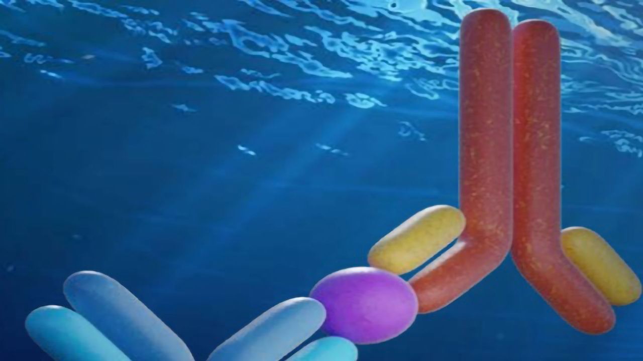 10 Best ELISA Practices and Techniques